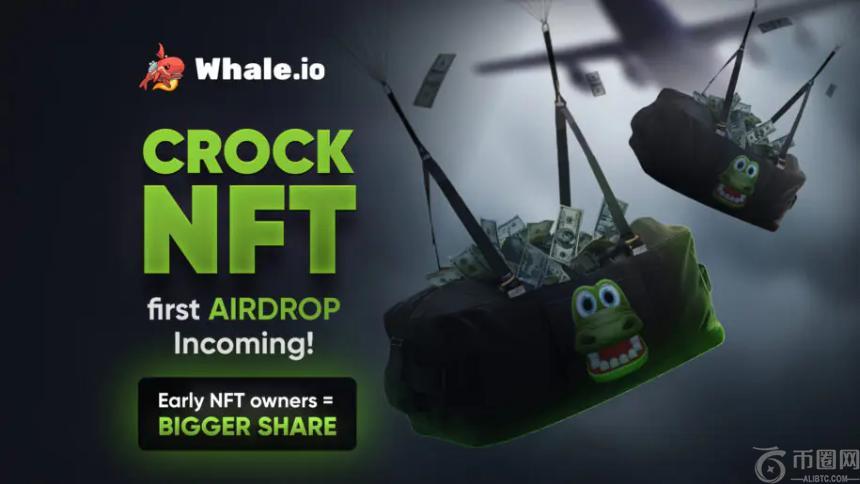 Whale.io 宣布首次向 Crock Dentist NFT 持有者进行空投