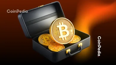 德国另类选择党将建立国家比特币储备