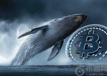 谁还需要现货比特币ETF？