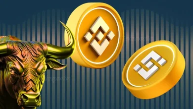 为什么币安 BNB 价格今天上涨？