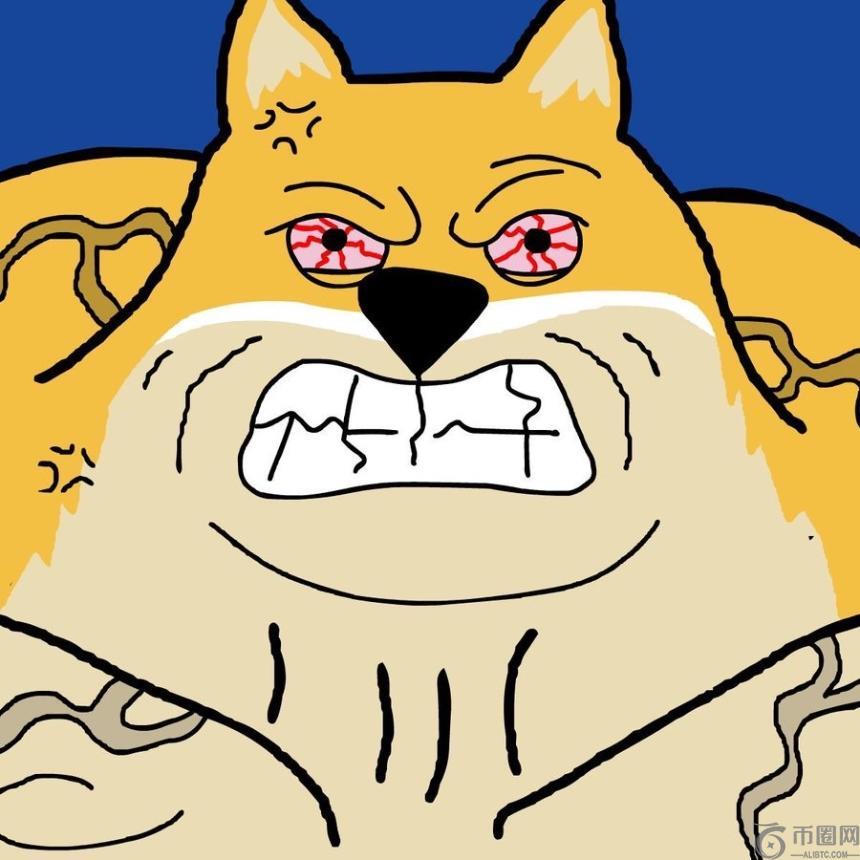 柴犬币增持热潮或预示新一轮表情包币上涨，哪些新兴代币值得关注？