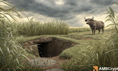 FLOKI的牛市陷阱奏效!Memecoin 36小时内下跌13%