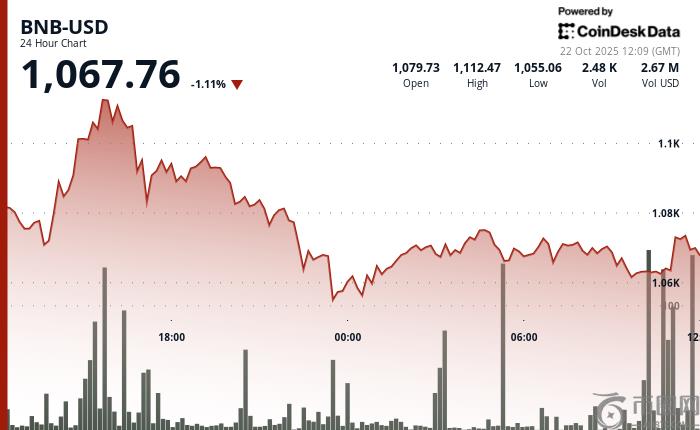 由于 Memecoin 活动和永续合约推动区块链增长，BNB 跌破 1,100 美元