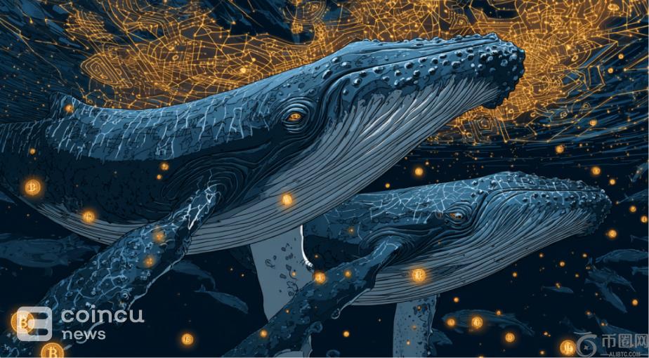 鲸鱼在短短一周内积累了 1300 万个 Chainlink LINK 代币