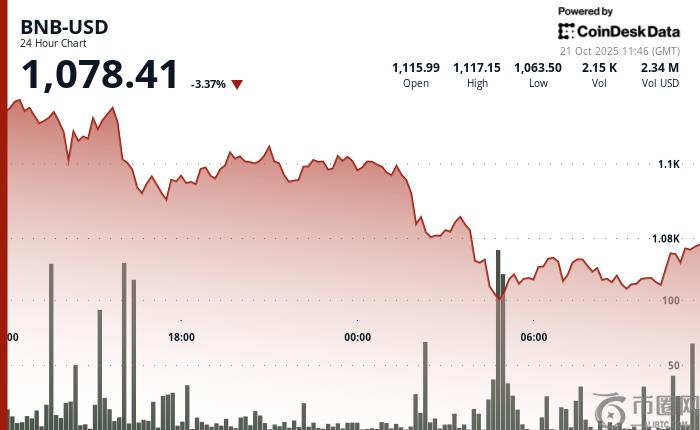市场震荡削弱支撑位，BNB 下跌 3.3%