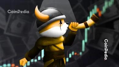 为什么 Floki 代币价格今天上涨？