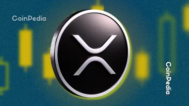 Ripple 的 Evernorth 项目可能引发下一轮机构 XRP 热潮