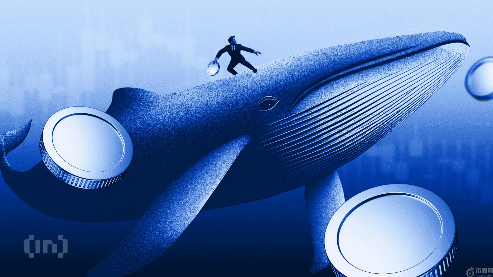 BitMine 和 Strategy 利用市场疲软扩大加密货币投资组合