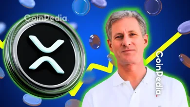 Chris Larsen 出售 5000 万 XRP，Ripple 支持的 Evernorth 准备进行 10 亿美元的 SPAC 合并