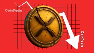 10月21日XRP价格预测