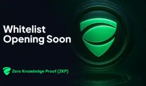 透明账本的消亡：零知识证明的真正应用蓝图