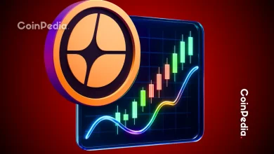 紫菀价格下跌8%，未来走势可能如此