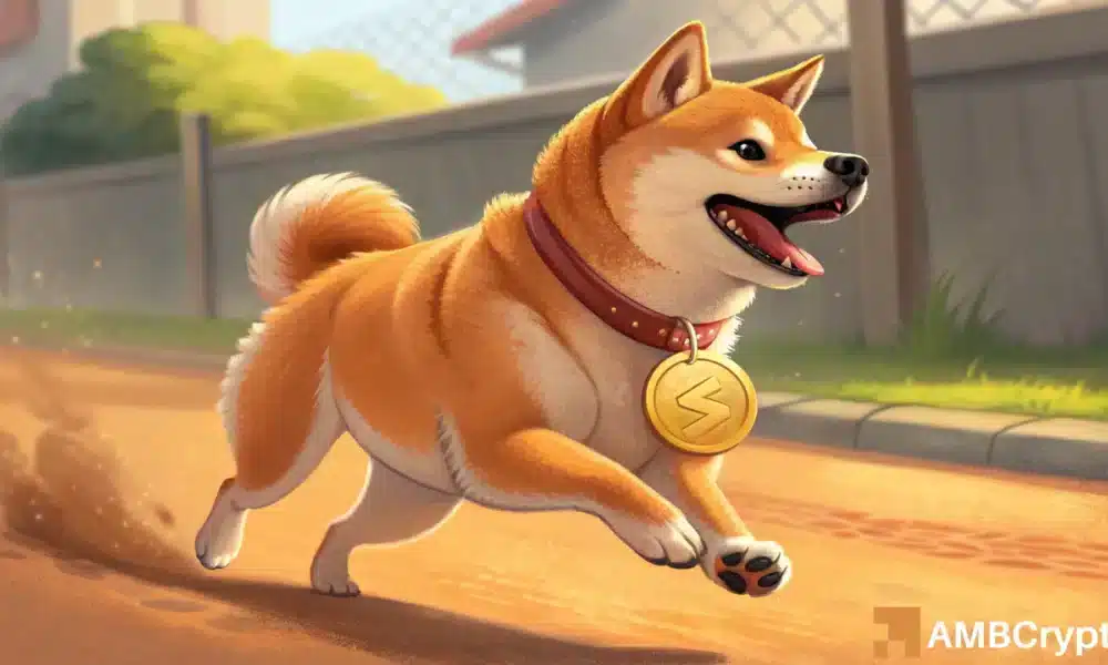 Memecoin 崩盘重创柴犬！SHIB 的回归之路可能就此终结