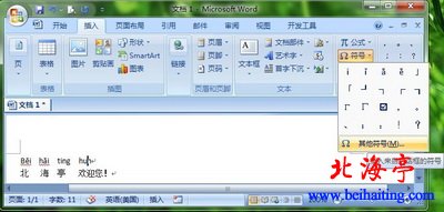Word 2007“符号”功能区