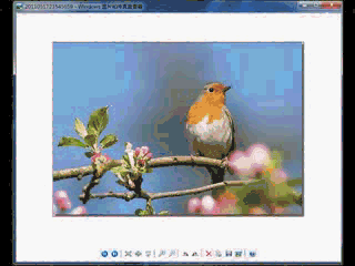 ImageViewer for Win7下载(v1.0.0.1):Win7打开gif图片增强工具---软件安装后效果