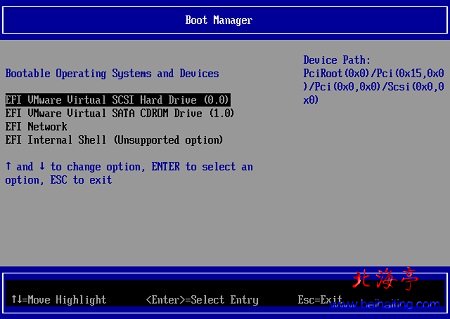 怎样让VMware虚拟机支持UEFI BIOS---Boot Manager界面