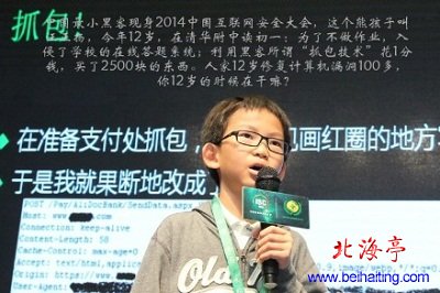 中国最年轻黑客(13岁)---王正杨
