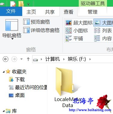 LocaleMetaData是什么文件夹,LocaleMetaData文件夹能删除么---文件夹截图