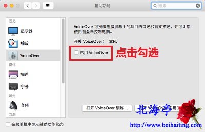 VoiceOver是什么,Mac电脑怎么打开和关闭VoiceOver---辅助功能