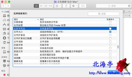 苹果Mac怎么设置搜索条件,Mac搜索隐藏文件图文教程---选择搜索属性