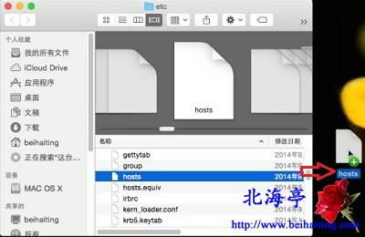 苹果Mac hosts文件在哪里,Mac怎么修改hosts文件---拖动文件到桌面