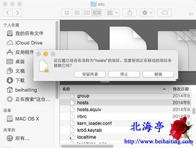 苹果Mac hosts文件在哪里,Mac怎么修改hosts文件---替换提示界面