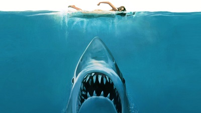 好莱坞十大灾难电影高清电脑桌面壁纸(11图)---大白鲨
