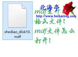 mdf是什么格式文件,mdf文件怎么打开---文件截图