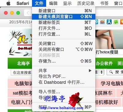 苹果Mac Safari浏览器怎么开启无痕浏览模式---文件菜单