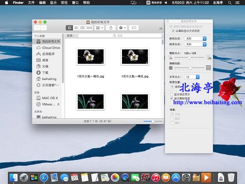 苹果Mac OS X怎么以缩略图形式显示图片---查看选项
