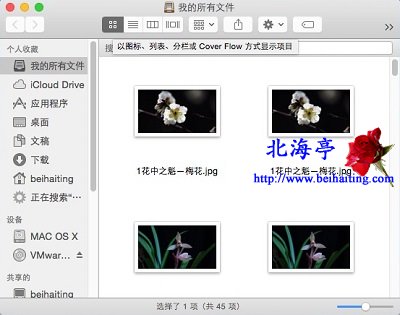 苹果Mac OS X怎么以缩略图形式显示图片---图标方式