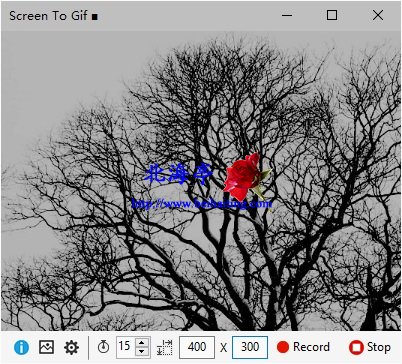 GIF动画录制工具(Screen To Gif_v1.41绿色汉化版)下载