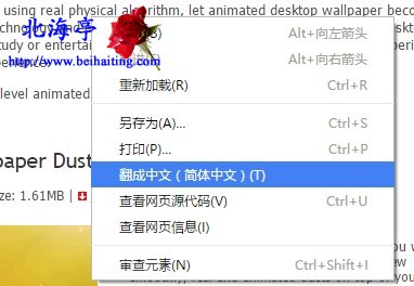 Chrome浏览器怎么将英文网页翻译成中文---网页右键菜单