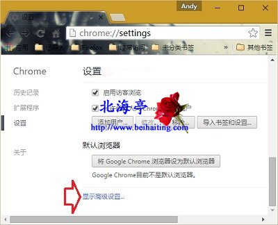 谷歌浏览器打开网页提示要访问的网站包含恶意软件怎么办---Chrome设置窗口