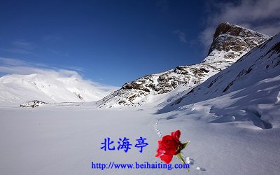 Win10自然风景电脑主题包下载:寒威千里望,玉立雪山崇4