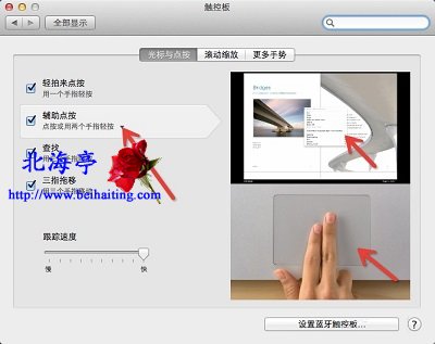 苹果Mac右键没反应怎么办---Mac触控板设置