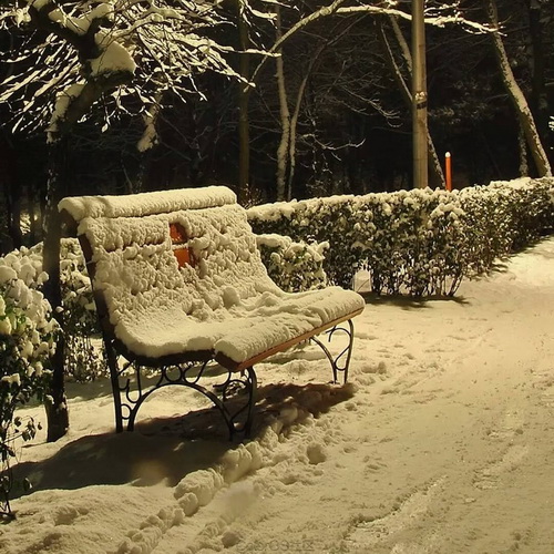 雪后的椅子500x500图片:岁月远去何处安放蒙尘的心