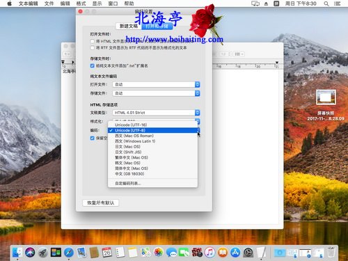 苹果Mac打开txt文本文档乱码怎么办=文本文档偏好设置