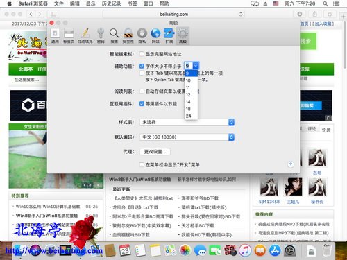怎么更改苹果Mac电脑Safari浏览器字体大小=高级设置