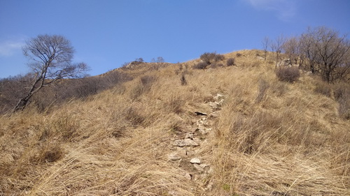 阜平神仙山重装穿越-荒草中的路径