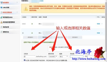 网站加入奇安信网站卫士修改cname记录图文教程-域名控制面板