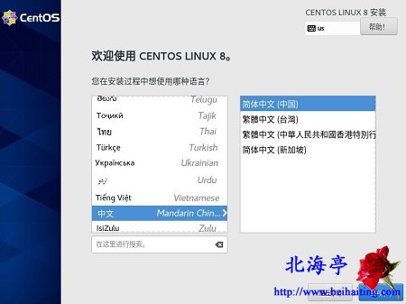 VMware15虚拟机安装Linux(CentOS 8)图文教程-安装语言