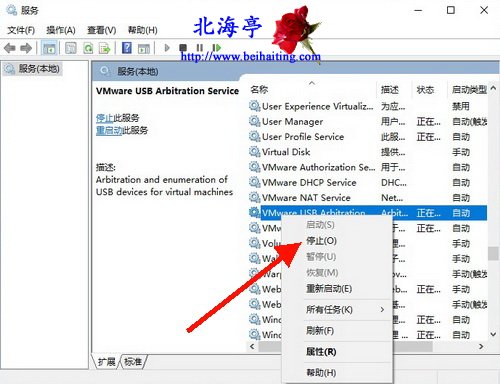 VMware15虚拟机安装Mac OS X 10.15系统图文教程-停止服务