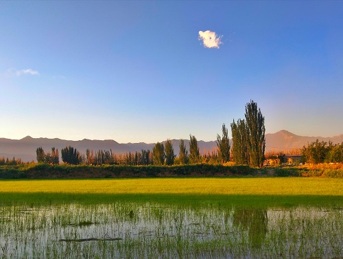 梦开始的地方——焉耆(新疆旅游攻略二)摄影：齐岸66