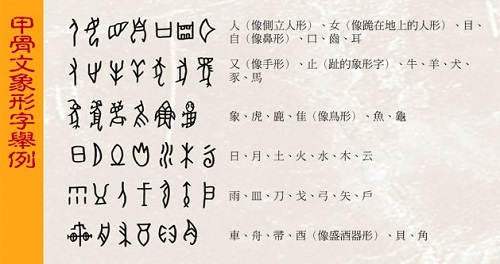 汉字的形体历史---甲骨文象形字