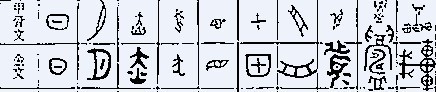汉字的形体历史---甲骨文金文对比